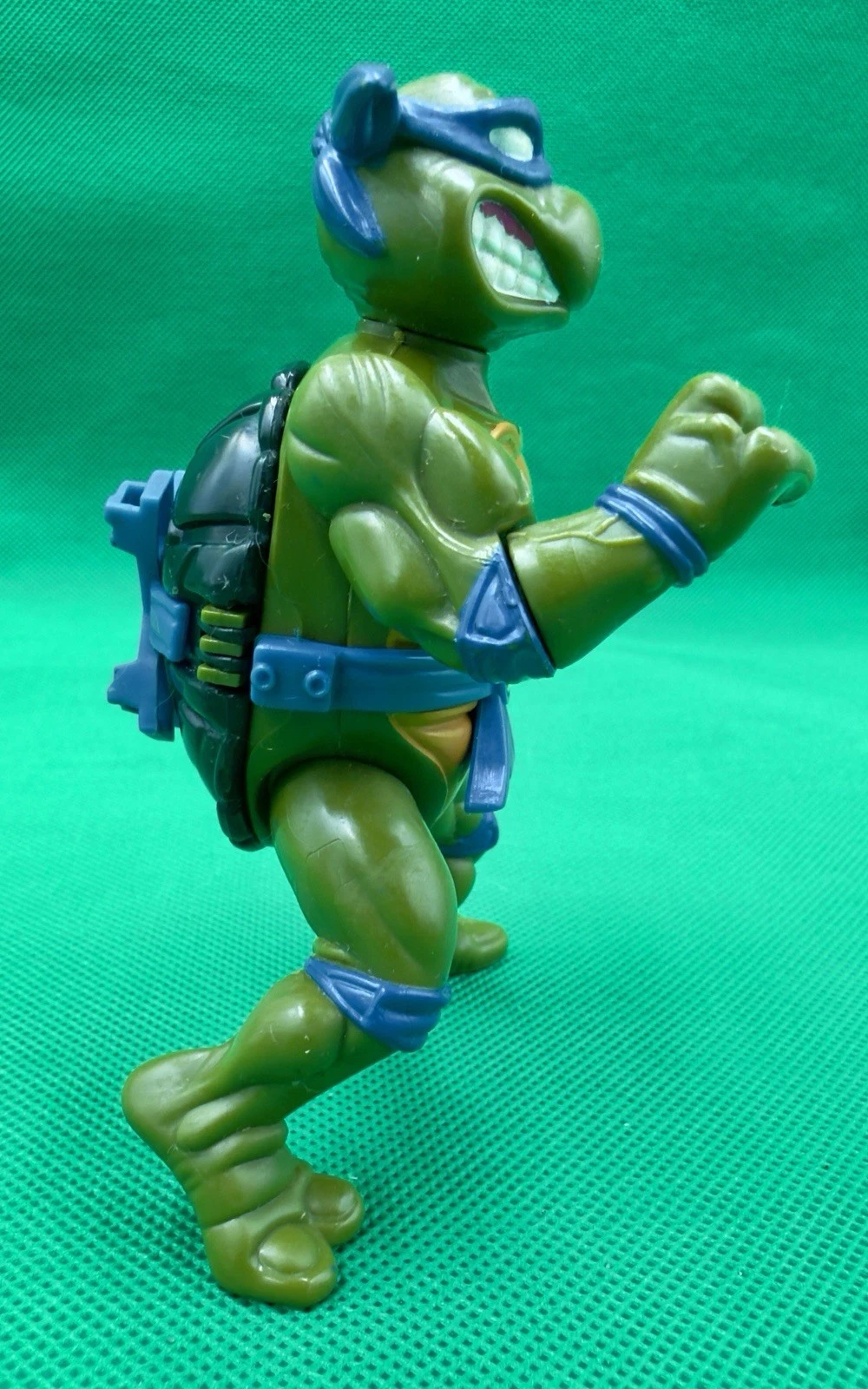 Storage Shell Leonardo photo 6