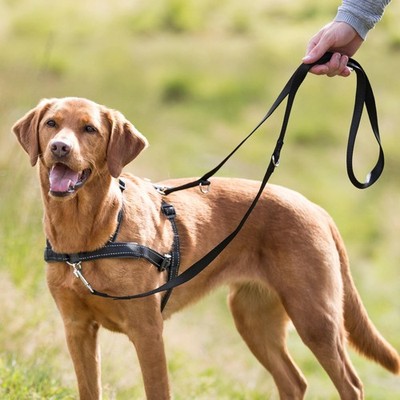 TRIXIE Lead'n Walk Soft Geschirr Erziehungsgeschirr gepolstert alle Größen Hund 