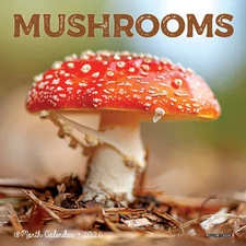 Willow Creek Press,  Mushrooms 2026 Mini Wall Calendar, 7'' X 7'', 18-Month Cale