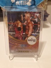 2025 Topps WWE Universe Stone Cold Purple Glass /399 #295 Event Variation