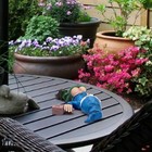 Bild 8 von 14