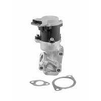 BorgWarner (Wahler) AGR-VENTIL AbgasrÜCkfÜHrung Passend FüR CitroËN C5 C6