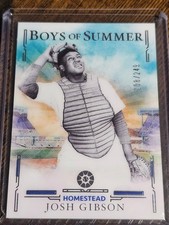 2025 Panini Boys of Summer Baseball Josh Gibson #d 198/249 Homestead Grays #2 SP