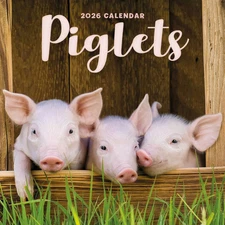 Carousel Calendars,  Piglets 2026 Mini Wall Calendar