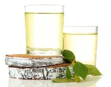 Seve De Bouleau Bio Et Fraiche