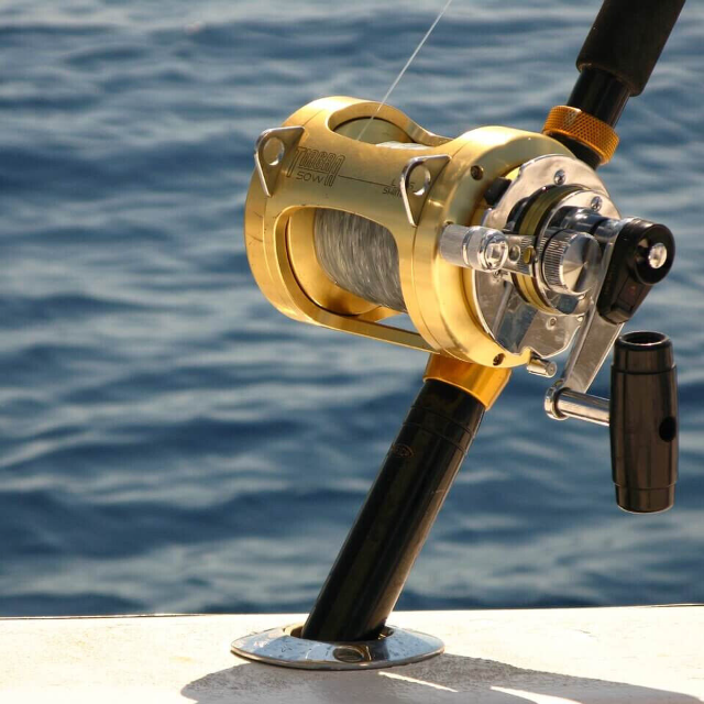 Check out SEA FISHING REELS