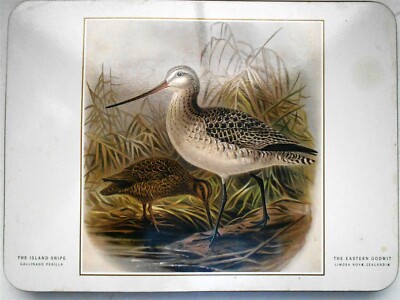 Set of 6 Bird Placemats by Jason, Designer Collection | eBay