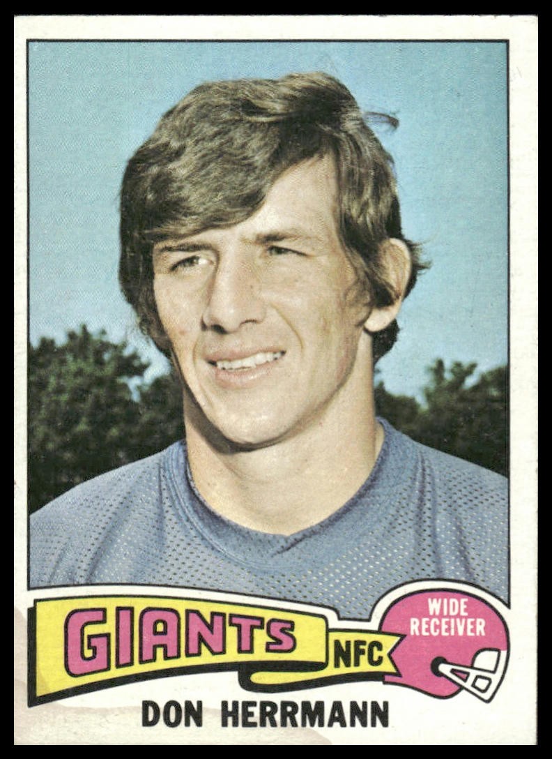 1975 Topps #308 Don Herrmann New York Giants