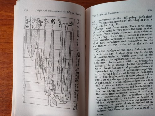 SFE Origin and Development of Life on Earth by G. Voitkevich Mir Publishers 1990 - Picture 15 of 24