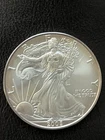 2005 American Silver Eagle 1 oz Uncirculated