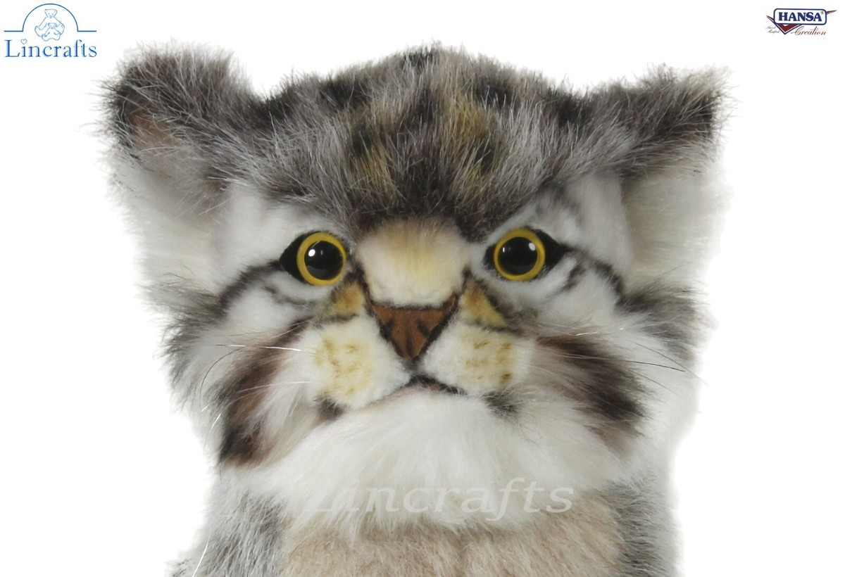 Pallas Cat Kitten 7299 Soft Toy by Hansa -Brand New Lincrafts UK