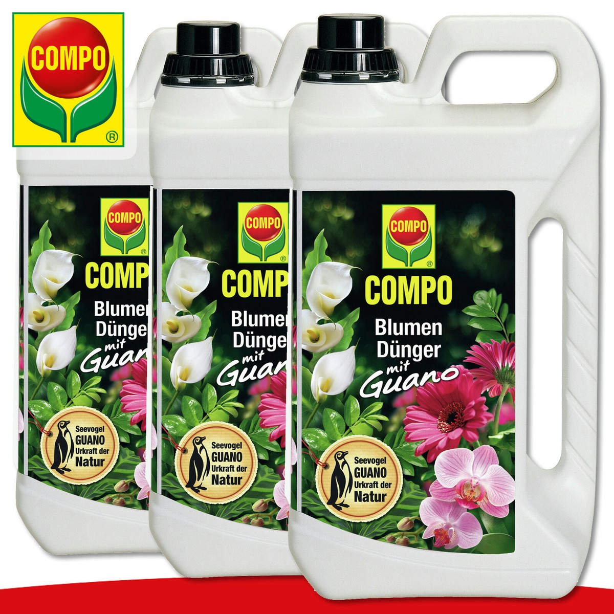 COMPO 3 x 5 l Blumendnger mit Guano | eBay.de