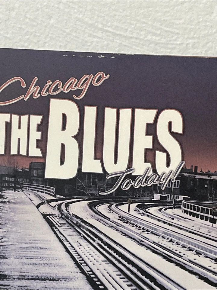 Chicago The Blues Today - Various Artists (3CDs, 1999, Vanguard) MISSING A DISC Foto 3 de 4