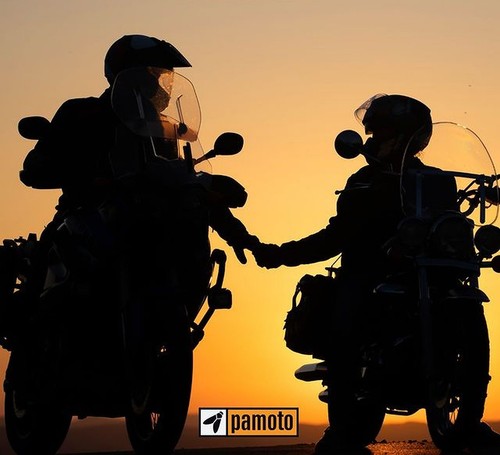 Pignone 12 denti per Kawasaki KLE 650 F Versys Special Edition ABS anno 2017 - Foto 10 di 11