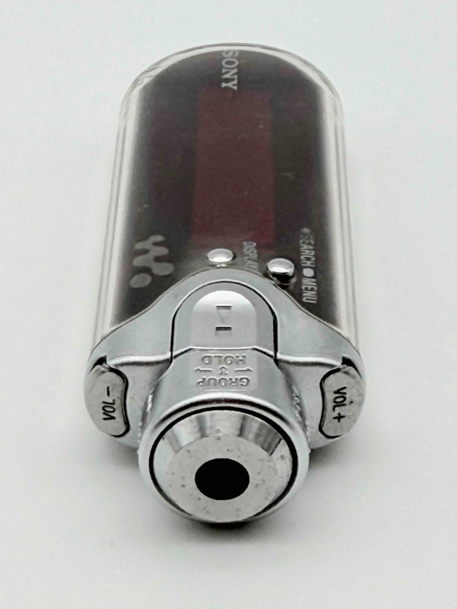 Sony Walkman NW-E507 Silver ( 1 GB ) Digital Media Player for sale