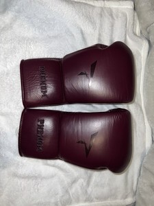Phenom SG210 Boxing Gloves 18oz