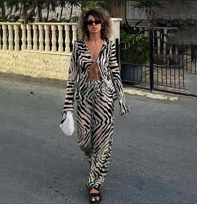 Stylish Zebra Print Sheer Pants Set 