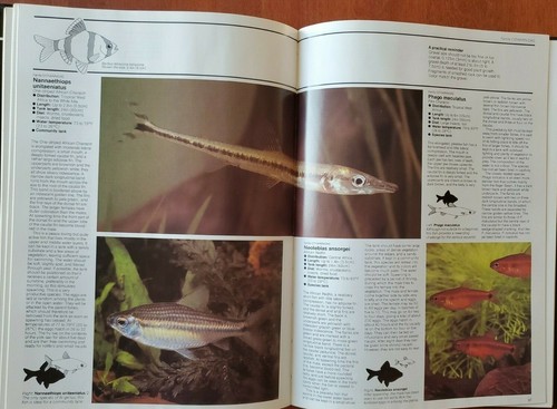 Tropical Aquarium Fishes by Dick Mills & Dr Gwynne Vevers - Hardcover - Imagen 10 de 11
