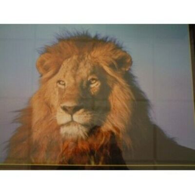 KUNSTDRUCK SAVE OUR WILDLIFE