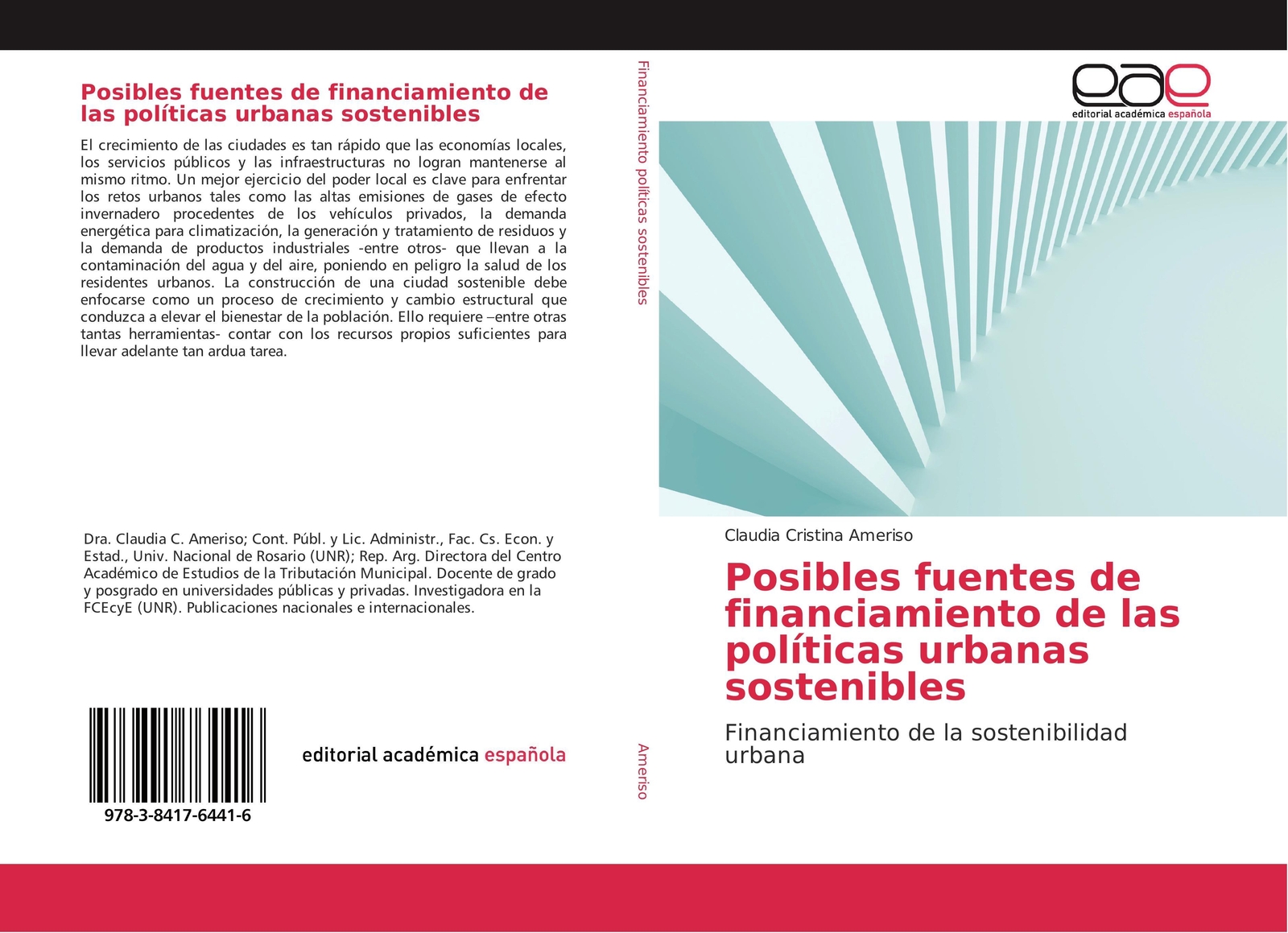 Thumbnail - Claudia Cristina Ameriso | Posibles Fuentes De Financiamiento De