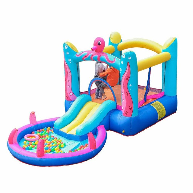 dolphin inflatable water slide