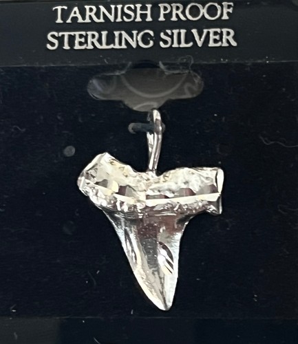 925 Sterling Silver Shark Tooth 1” Diamond Cut Shiny Pendant Only Beach Wear