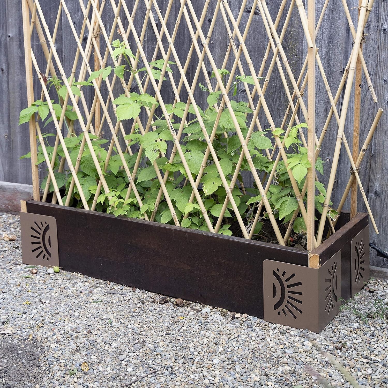 Bloom 11021BL Sun Instabrace Flower Garden Bed Corners 9.5 Brown Compra online en eBay