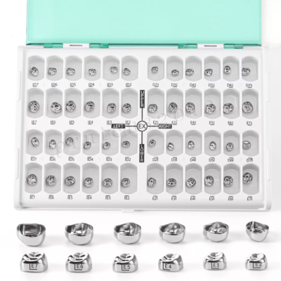 Dental Kids Primary Molar Crown Stainless Steel Pediatric