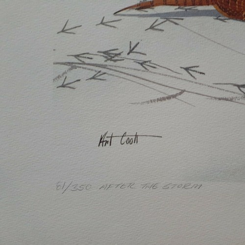 Arthur M Cook 1975 "Dopo la tempesta" Remarque 81/350 - 27" x 21,5" - Foto 5 di 7