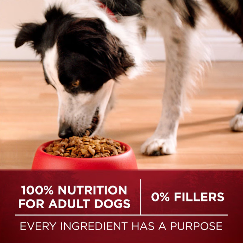 Purina ONE True Instinct With A Blend of Turkey and Venison Dry Dog Food, 36 lbs