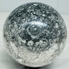 Natural Insectconch fossil crystal Ball Quartz Crystal Sphere Reiki Healing4740G — photo 10