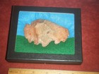 3  5/8 in. ARTIFACT STONE BUFFALO  FROM KAY Co. OKLAHOMA — photo 1