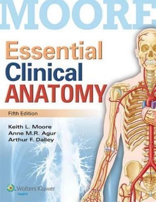Moore Essential Clinical Anatomy- Brand New