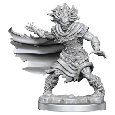 WIGHT Wizkids Dungeons & Dragons Frameworks Miniatures WZK75052