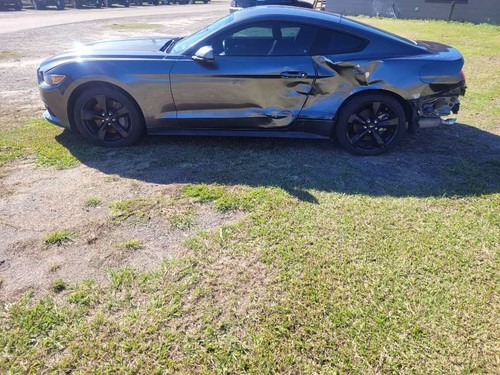 2015-2017 Ford Mustang EcoBoost Trunk Deck Lid No Spoiler Coupe Paint J7 2652 - Bild 12 von 12