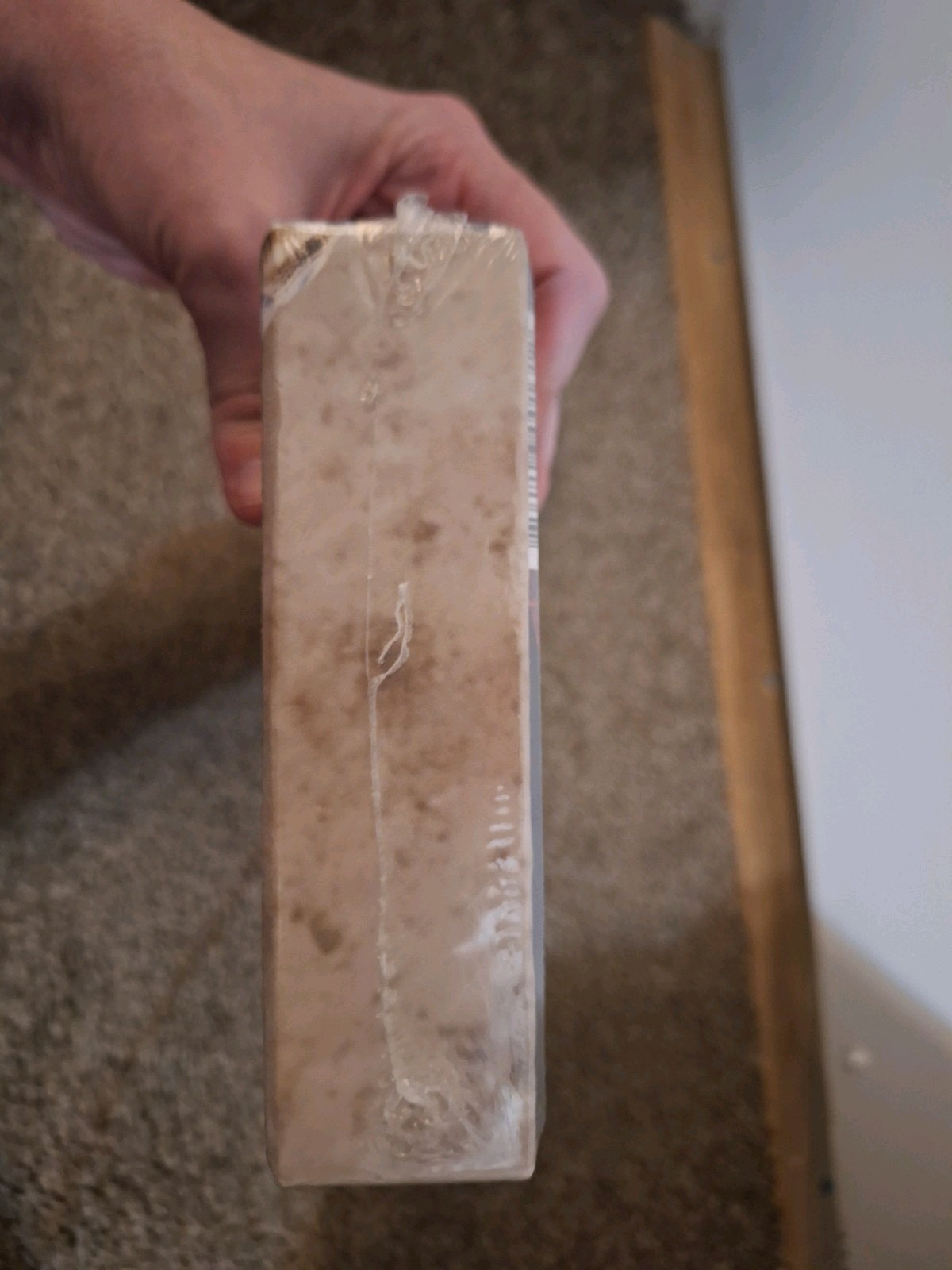 Picture 6 of 6