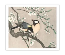 OHARA KOSON Tits On Cherry Branch VINTAGE JAPANESE ART (1900-1910) Print/ Poster