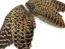 1 Pair - Natural Ringneck Pheasant Hen Whole Wing Feather Set Left and Right 