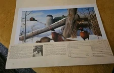 Leo Stans Wildlife Heritage Collection #0117 18"x13” 3 Prints *Read* Vintage