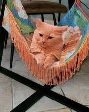 Cat Bed Hammock Hanging Bed Handcrafted Double Sided Floral and Geometric Design