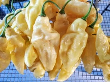 Dried Super Hot Peppers - Carolina Reaper / Ghost / Scorpion - Whole,Grown in TN