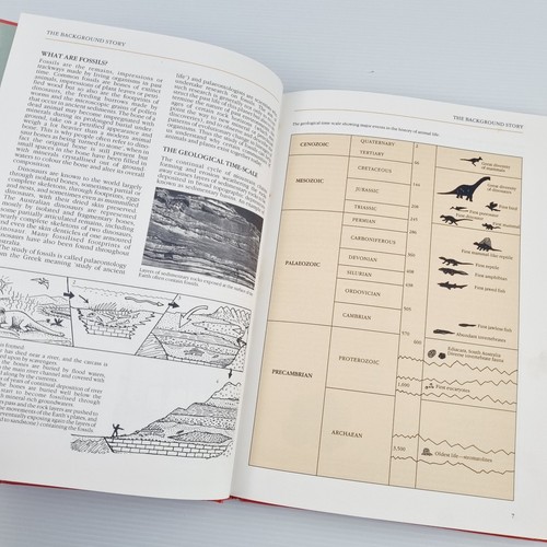 Dinosaurs of Australia and Other Animals of the Mesozoic Era By John Long - Picture 14 of 18