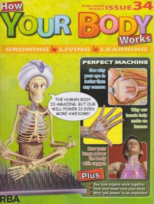 How your body works-issue 34-PERFECT MACHINE.