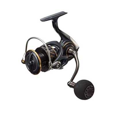 Daiwa 22 CALDIA SW 4000D-CXH 6.2 Spinning Reel | eBay