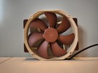 Foto 3 di 4