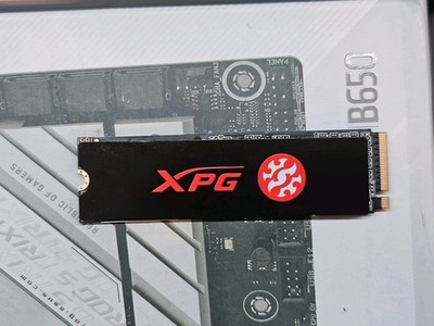 XPG SX8200PNP 512GB M.2 2280 NVMe Internal SSD Black Kingston Samsung Adata