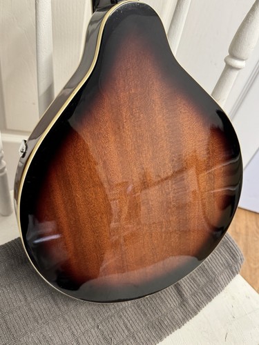 Fender Mandolin FM-100 Musical Instrument Brown 8 String Right Handed - Bild 6 von 11