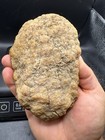 Trilobite Indiana Geode Fossil Citrine & White Quartz Agate 836 Grams Arthropod