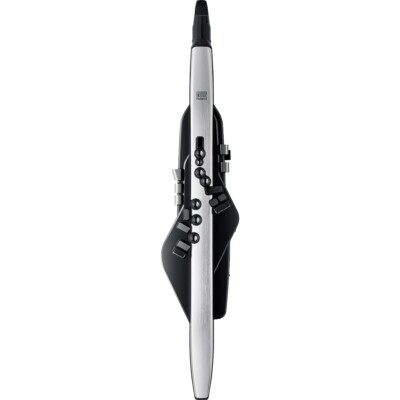 Roland Aerophone Pro AE-30 Digital Wind Instrument