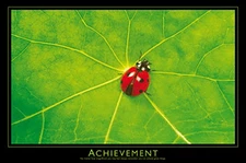 Poster Studio B - Achievement Ladybug Leaf 24x36" NEW Wall Art CJ1536B